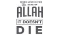 When love is for the sake of Allah, it doesnÃ¢â¬â¢t die